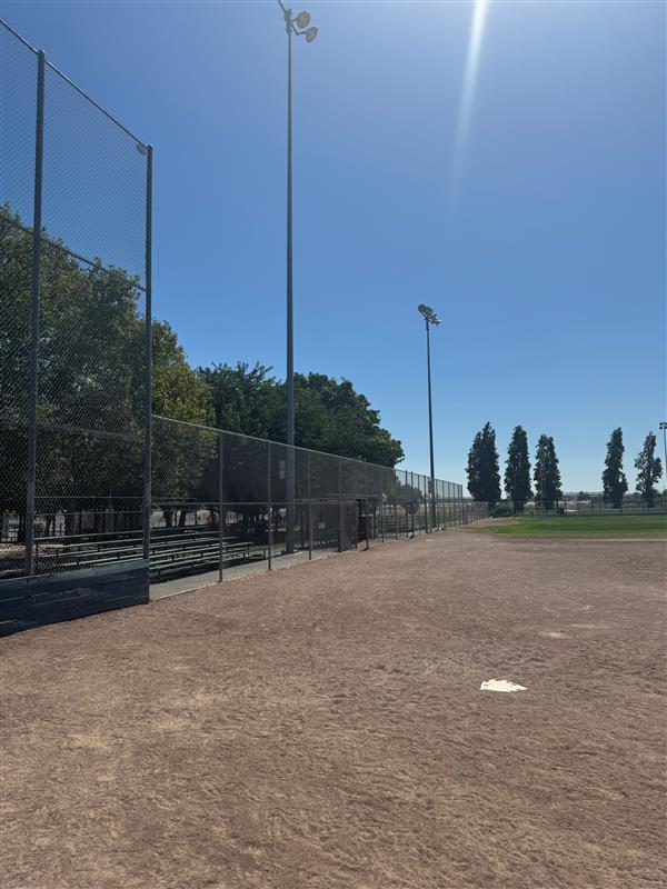 Central Park Baseball